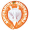 SWIMTRAINER Classic Orange