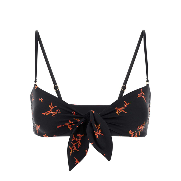 Fascia Coral Reef Lyc