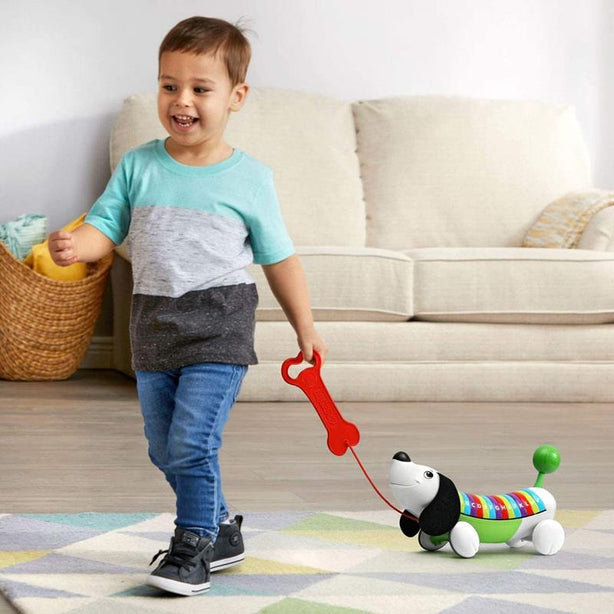 LeapFrog Alpha Pup (Green)