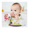 B.box Fresh Food Feeder with 2 mesh bags (Raspberry)