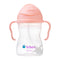 B.box Sippy Cup 8oz (Tutti Frutti)