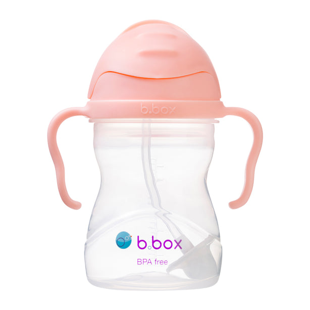 B.box Sippy Cup 8oz (Tutti Frutti)