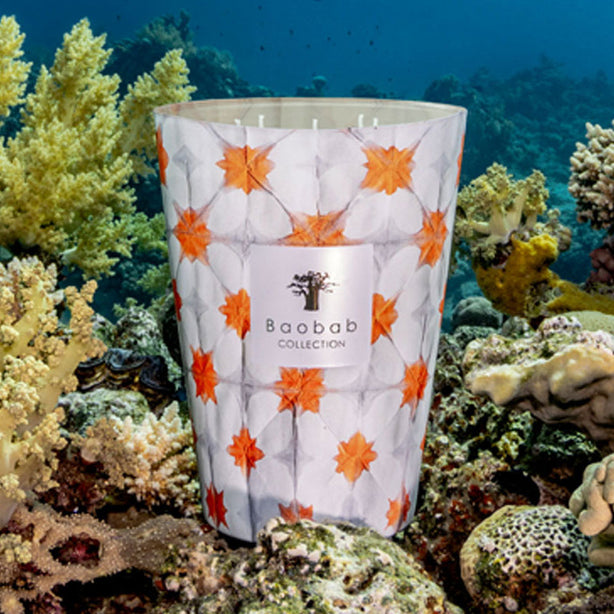 Baobab Collection Odyssee - Calypso Candle (Max 10)