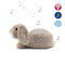 Zazu Ruby the Rabbit Star Projector with Soothing Melodies