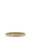 Valentino Garavani Rockstud suede Belt - Havana Beige