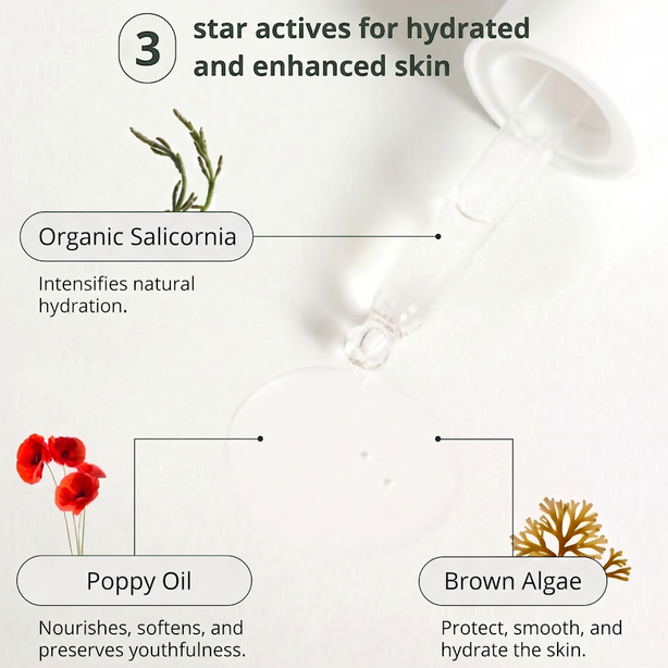 Salicornia Dry Oil - 30ml