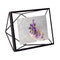 Umbra Prisma Photo Frame, 4