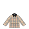 Burberry Coats