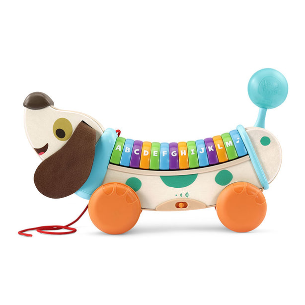LeapFrog Wooden Alpha Pup