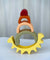Sun Teether Silicone Toy
