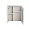 Rubine PVC Mirror Cabinet | RMC-ACO-5560D15