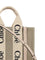 Chloé Woody Handbag - Cement Pink