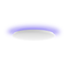 Yeelight Arwen Ceiling Light 450C
