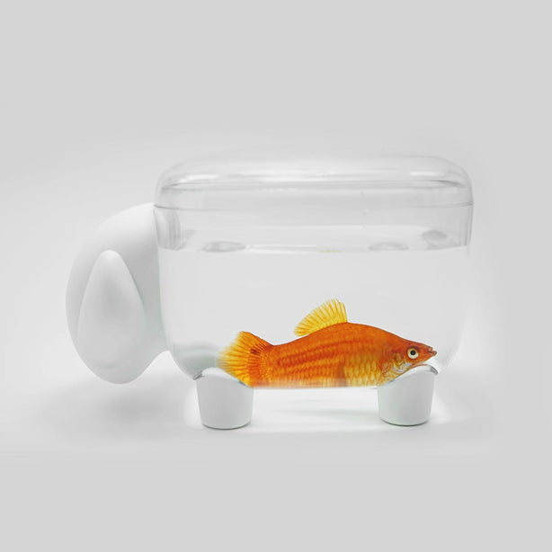 Qualy Sheepshape Container Jr.