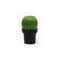 Qualy Tasty Cactus Salt/Pepper Grinder