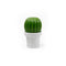 Qualy Tasty Cactus Salt/Pepper Grinder