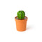 Qualy Cacnister Coffee/Tea Canister And Spoon
