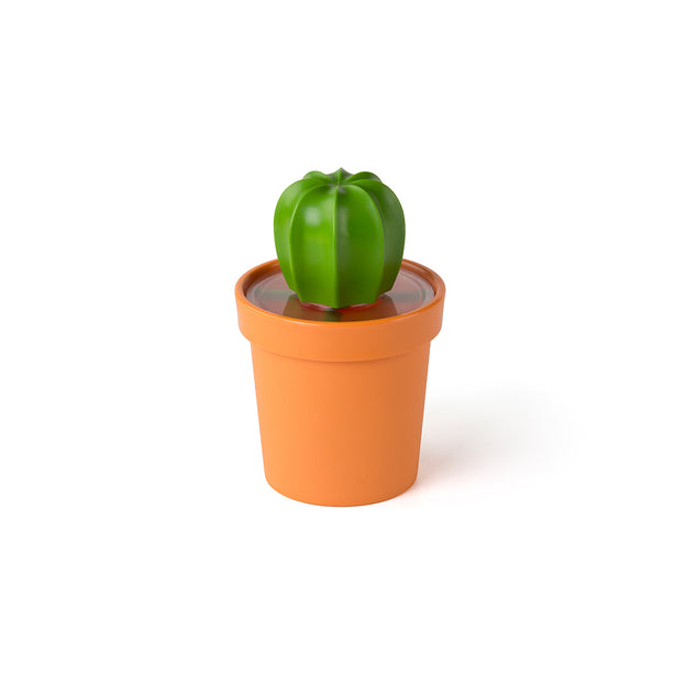 Qualy Cacnister Coffee/Tea Canister And Spoon