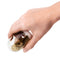 Qualy Animal Parade Seasoning Shaker Set