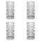 Nachtmann Lead Free Crystal Longdrink