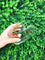 Gifts by Art Tree 460ml Whisky Cup