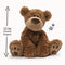 Gund Grahm Classic Brown Teddy Bear 12