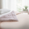 Charles Millen Suite Collection Glacia Bedlinen, Cooling Comforter, Sweet Sorbet