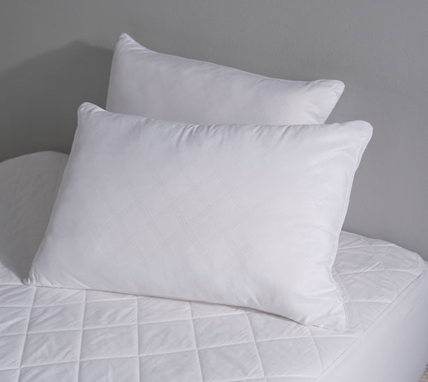 Robinsons Premium 2-Pack Pillow (Anti-Bacterial | Hypoallergenic) Core Collection