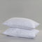 Robinsons Premium 2-Pack Pillow (Anti-Bacterial | Hypoallergenic) Core Collection