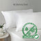 Robinsons Premium 2-Pack Pillow (Anti-Bacterial | Hypoallergenic) Core Collection