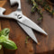 Kitchen Scissors (Pre-order)