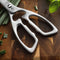 Kitchen Scissors (Pre-order)
