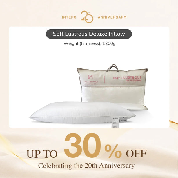 Intero I Soft Lustrous I Deluxe Pillow