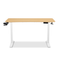 TTRacing Titus X Smart Desk