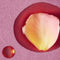 Rare Rose Face Oil