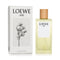 Aire Eau De Toilette Spray