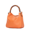 Diana Small GG Canvas Shoulder Bag - Beige and Dark Brown