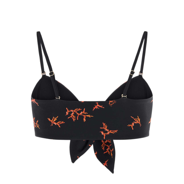 Fascia Coral Reef Lyc