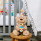 Gund Animated Happy Birthday Bear 14