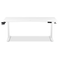 TTRacing Titus X Smart Desk