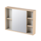 Rubine PVC Mirror Cabinet | RMC-ACO-8060D1S2