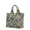 Embroidered Nylon Mini Handbag