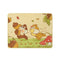 [CHIP AND DALE] KAKAO FRIENDS Lap Blanket - Ryan and Choonsik (International Shipping)
