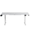 TTRacing Tivon Smart Standing Desk