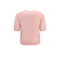 Alpaca Graphic Knit T Shirt