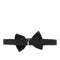 EMPORIO ARMANI Silk bow tie