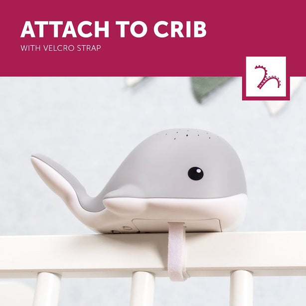 Zazu Wally the Whale, Light Projector with Soothing Melodies