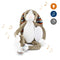 Zazu Bo the Bunny, Baby Comforting Musical Soft Toy, Nightlight