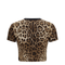 Dolce & Gabbana Leopard Print Cropped T Shirt