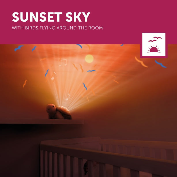 Zazu Tim the Turtle, Sunset Projector Nightlight with Soothing Melodies